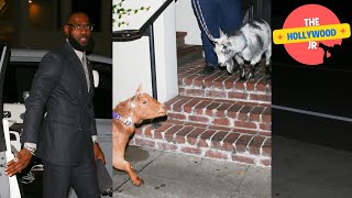 LeBron James Hosts Two Goats At Dinner Party With Savannah, Friends