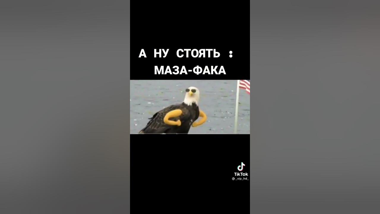 Маза-фака - YouTube