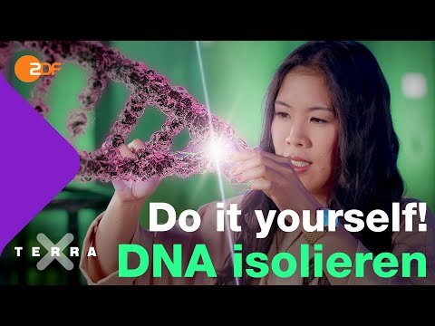 Video: Wann begann die DNA-Forschung?