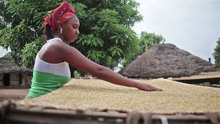 Food security - A world without hunger