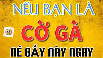 Cờ Tướng Thực Chiến Cấp Đại Sư / Những Cạm Bẫy Người Mới Chơi Cờ Cần Né