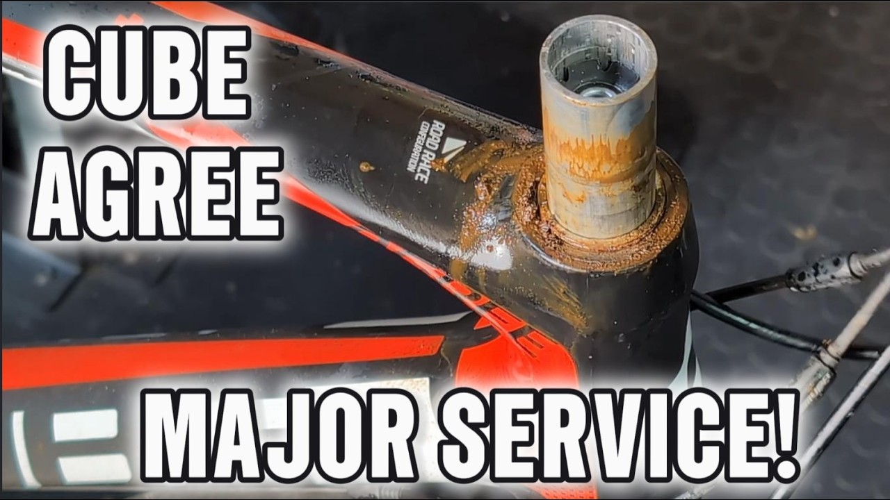 CUBE Agree-major service, this one fought HARD!