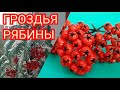 Мастер класс Гроздья рябины.Ягоды рябины своими руками.