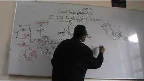 CVS Cardiac properties part 1 Excitability Dr Mohamed Fayez