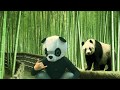 Oj in my gucci bag panda music
