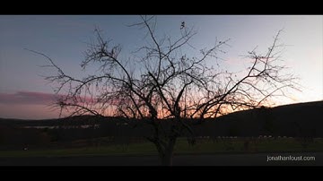 How to Cultivate a Kind and Friendly Heart with Jonathan Foust