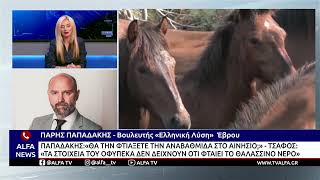Π. ΠΑΠΑΔΑΚΗΣ: «ΤΟ ΜΟΝΟ ΒΕΒΑΙΟ ΕΙΝΑΙ ΟΤΙ ΔΕΝ ΘΑ ΓΙΝΕΙ ΚΑΝΕΝΑ ΕΡΓΟ ΣΤΟ ΔΕΛΤΑ ΤΟΥ EΒΡΟΥ»