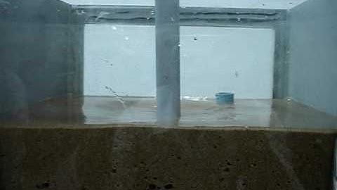 Sand Liquefaction Video