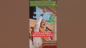 सावन में शिवलिंग और नंदी पर बेलपत्र चढ़ाने का सही तरिका मिलेगी हर कार्य में सिद्धि ☘️#pradeepmishra