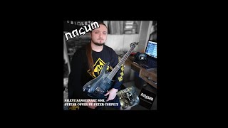 Nasum - Silent Sanguinary Soil guitar cover by Peter Csepecz