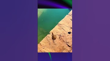 Những Ảo Giác Đánh Lừa Đôi Mắt #shorts