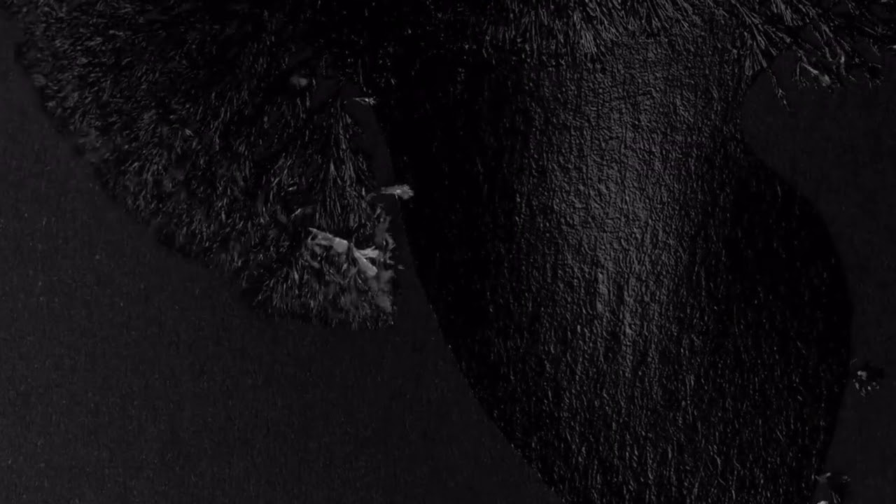 IKE - Beautiful Lie (Ice Crack Symphony Remix)