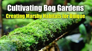 Cultivating Bog Gardens Creating Marshy Habitats For Unique Plants