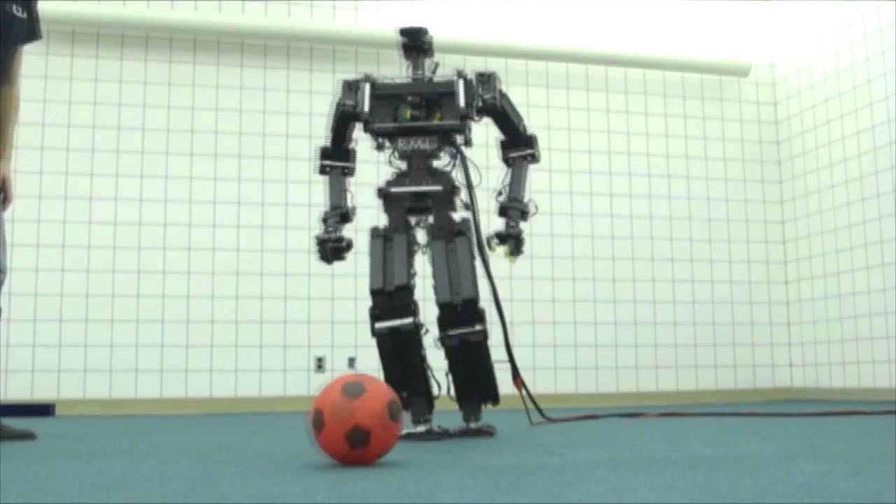 Real-Life Humanoid Robots Are Similar 