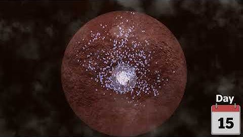 Menstrual Cycle Animation Video | Periods for Girls