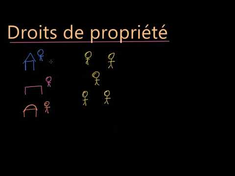 Vidéo: Qu'est-ce Que La Propriété En économie