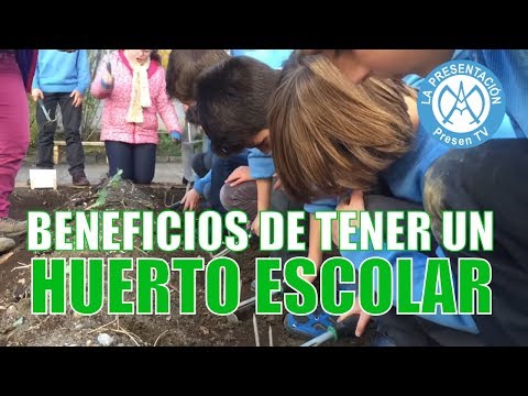 ✅ BENEFICIOS de tener un HUERTO ESCOLAR | Colegio de La Presentación