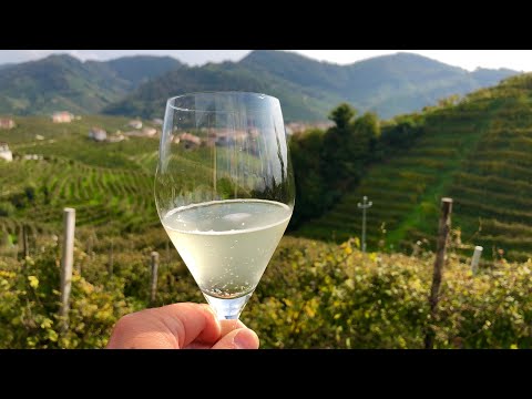 The Prosecco Road (la Strada del Prosecco)