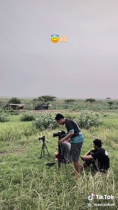 syuting mafia project