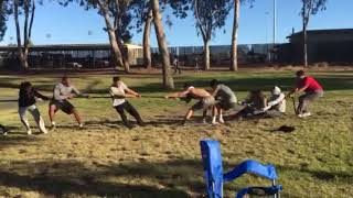 Tug of War at Wilson Park: Part II