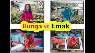 BUNGA VS EMAK | Lawak Minang Episode 31