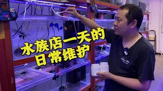 实体水族店一天的日常维护是怎么样的？