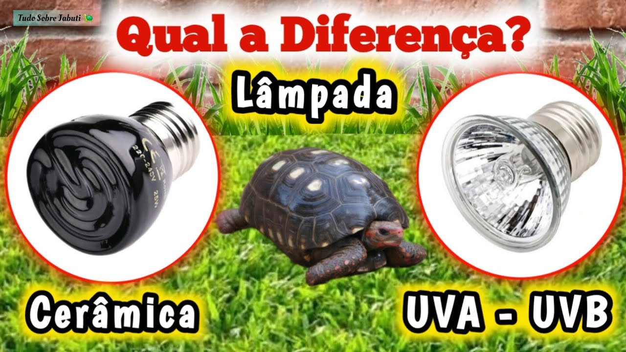 Lâmpada de Cerâmica e UVA / UVB. Qual a diferença.