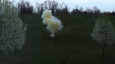 Shockwave Exploding Rifle Target 2