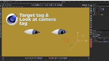 C4D Target & Look at Camera Tags Explained - Cinema 4d Tags