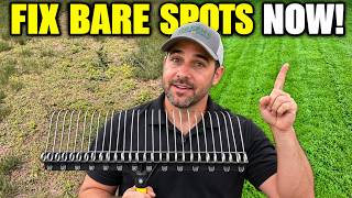 Seed & Repair BARE SPOTS in the Lawn (You NEED To Try This)