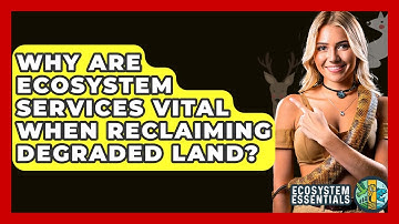 Why Are Ecosystem Services Vital When Reclaiming Degraded Land? - Ecosystem Essentials