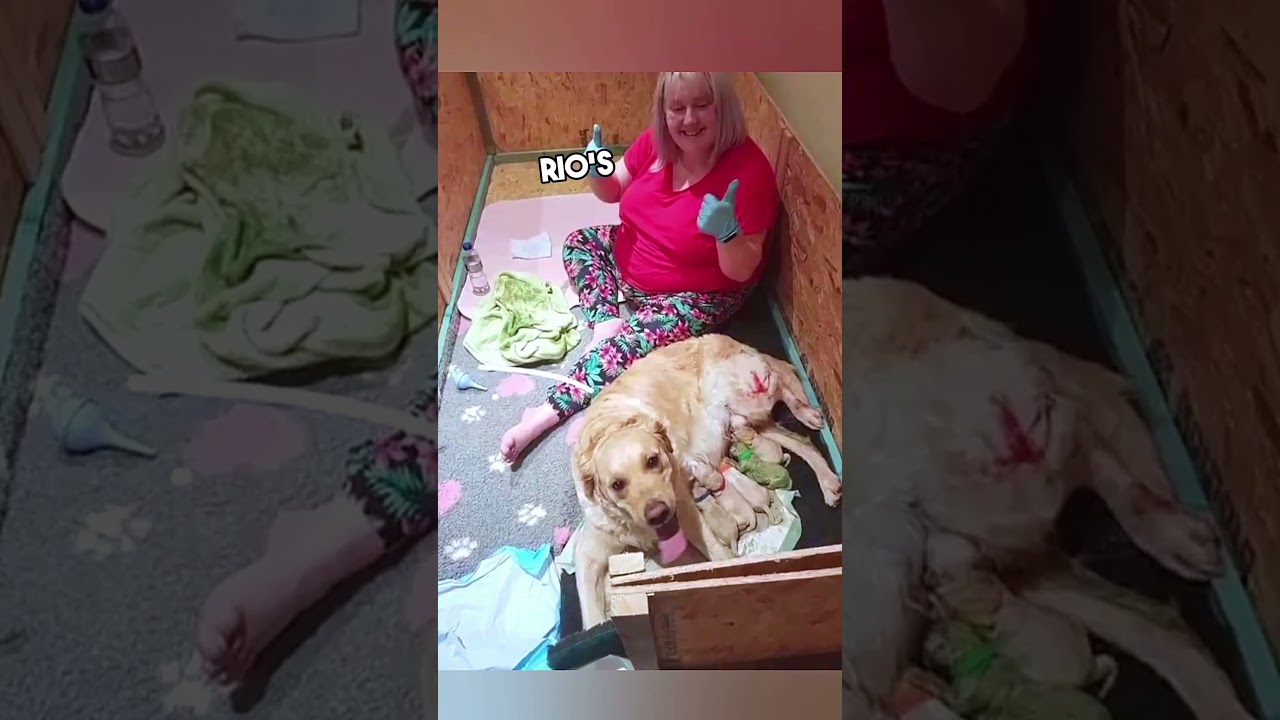 Dog Gave Birth To A Rare Green Puppy ❤️