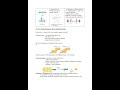 Hunter College BIO 100 Exam 1 Review: Comprehensive Essential Biology Study Guide - examstash.com