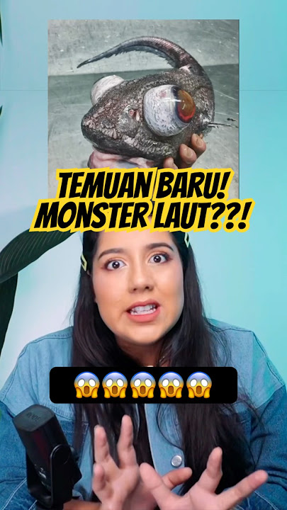 Mysterious Sea Creature Caught at North Beach, Russia.