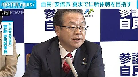 会长不在続く“自民・安倍派” 夏までに新体制を目指す方针(2023年6月27日) - 天天要闻