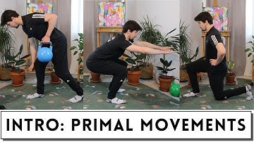 Introduction to the 7 Primal Movements