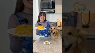 ARROZ CON POLLO PARA PERROS 🐶🍲 #perros #recipe #mascotas #pets #dog #recetas #food #dogfood