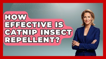 How Effective Is Catnip Insect Repellent? - Insects and Invaders