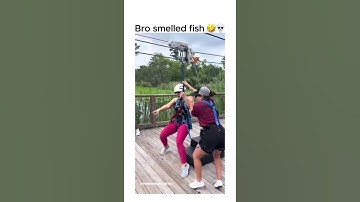 Ultimate Meme Dump 🚀🔥 - Pure Chaos Unleashed!