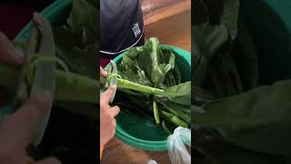 ข้อ3.6\/2 “ผัดซีอิ๊วววววว🧄🥦“