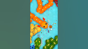 Hungry snake 🐍 biggest snake killed 🤯 hacker DCGamer