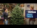 Everything You Need to Know About Christmas Trees | Ask This Old House