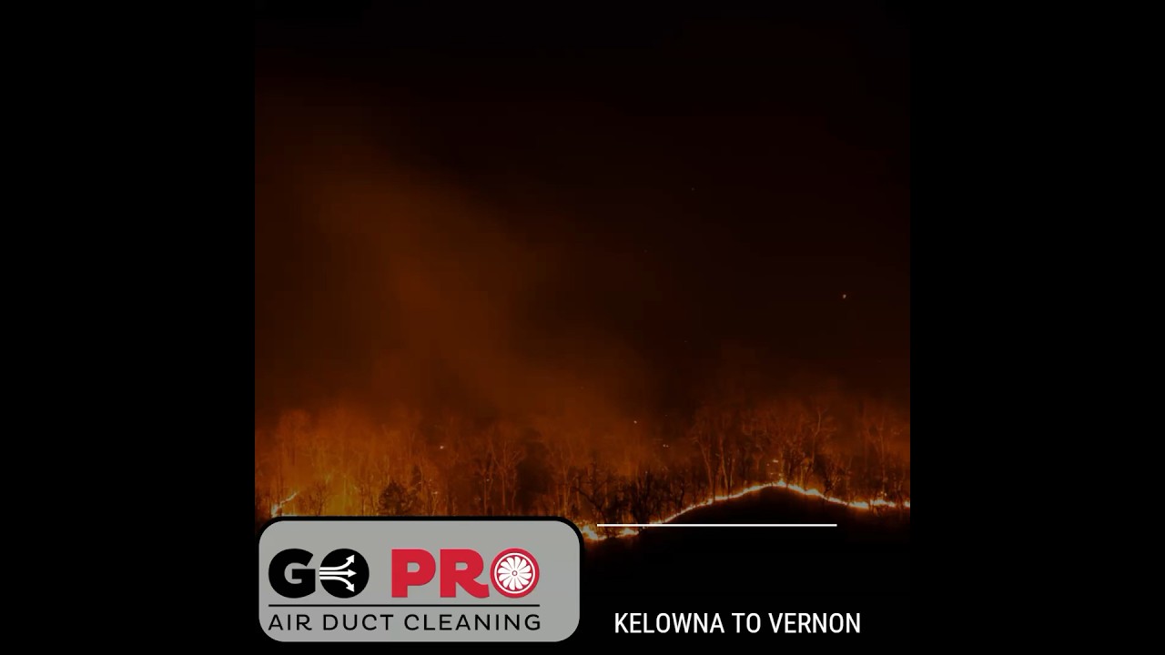 🔥 After a forest fire, clean air is more precious than ever! 🔥