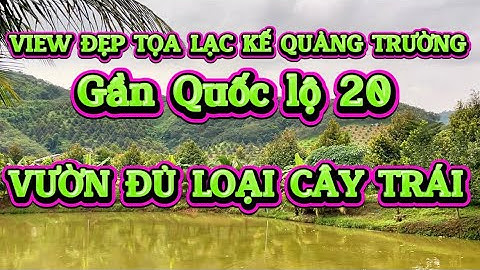 Cảnh Quê Yên Bình,Vườn Đủ Loại Cây Trái Cách Quốc Lộ 20 Tầm 700m Liền Kề Quảng Trường Madagui