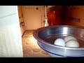فقاسه يدويه مشروع ناجح 100% بلمبه وكرتونه وشفشق مايه | how to make egg incubator