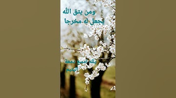 القرآن الكريم/سورة النجم القارئ الحاج عامر الكاظمي/ اللهم صل وسلم على نبينا محمد ( السلام عليكم )