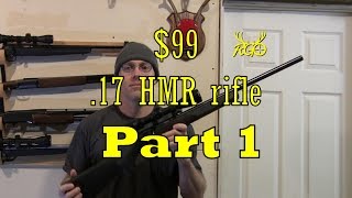My $99 .17 HMR Rifle-  Marlin 917- RGO EP 31