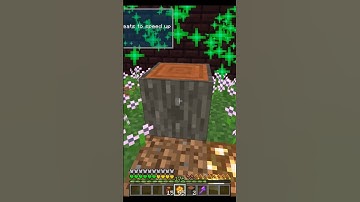 How To Get A Blue Banded And Neon Cuckoo Bee In All The Mods 7 #allthemods7