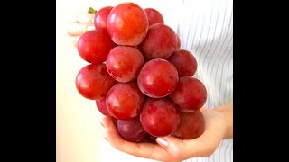 🍇美味しいぶどう🍇 🍇美味しいぶどう🍇