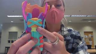 Larynx Model